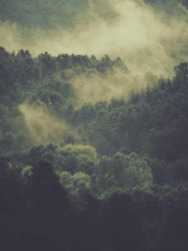 Aurora No. 6 Fountain Pen