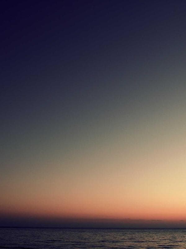 The Antbyte Signature Pen