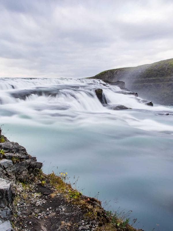 Verdant Forest Green