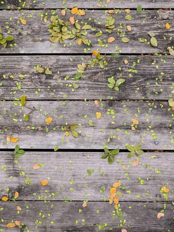 Oxford Leather Field Journal